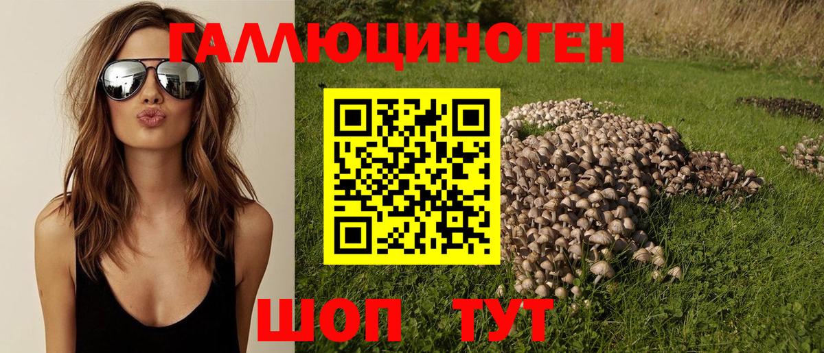 Галлюциногенные грибы мицелий  где продают   Вход с VPN  Уварово  Псилоцибиновые грибы ЛСД 