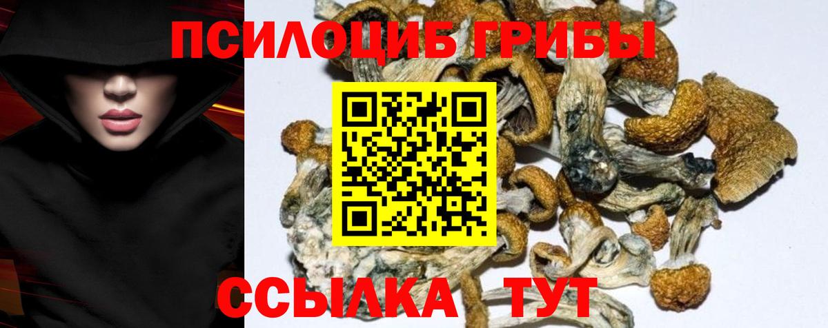 Псилоцибиновые грибы Cubensis Уварово